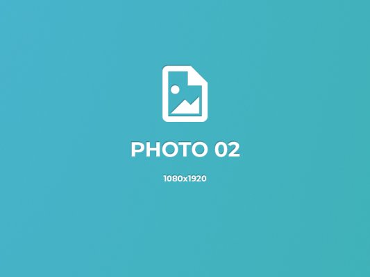 Pellentesque accumsan tortor id lacus gravida